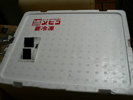P1000736i.JPG